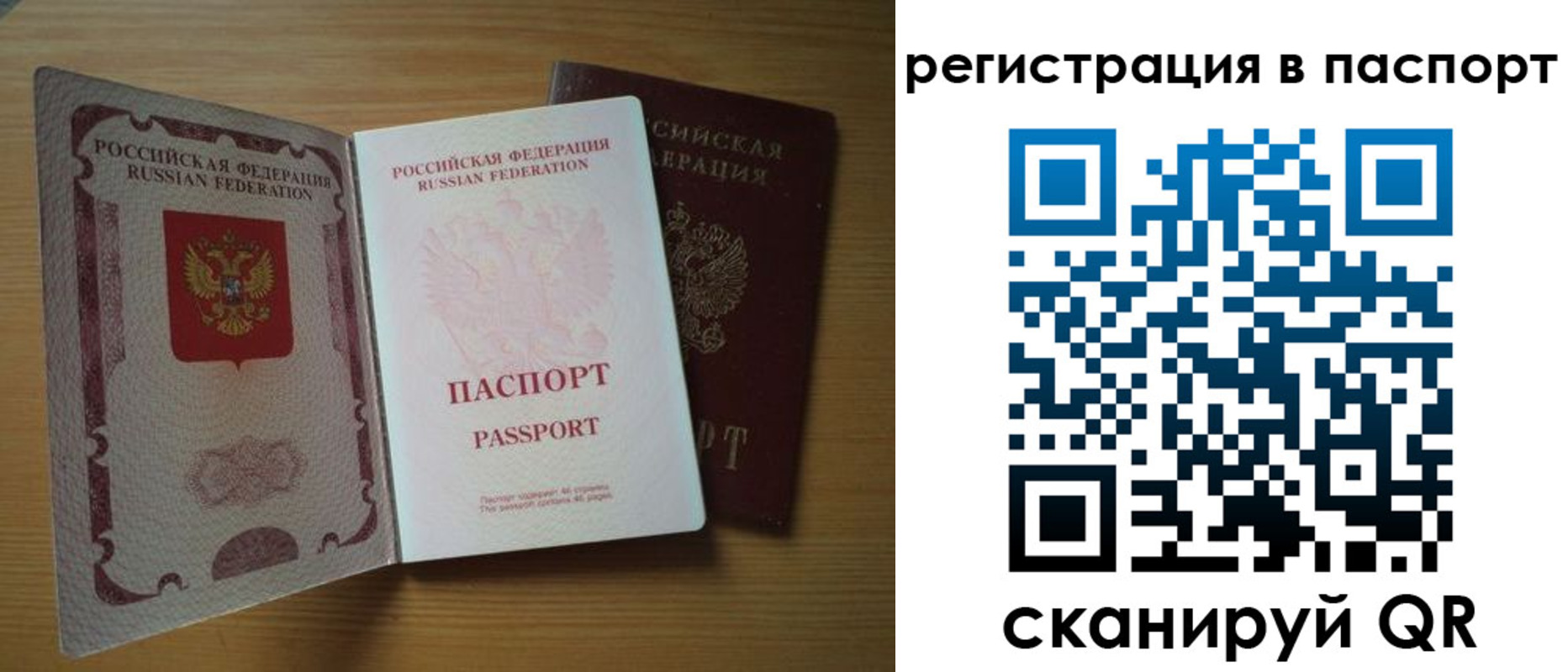 прописка 2025 в Елизово